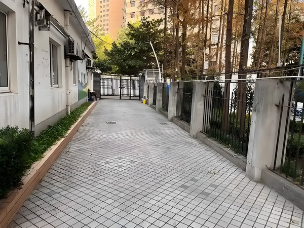 馋嘴丫鬟斗龙颜